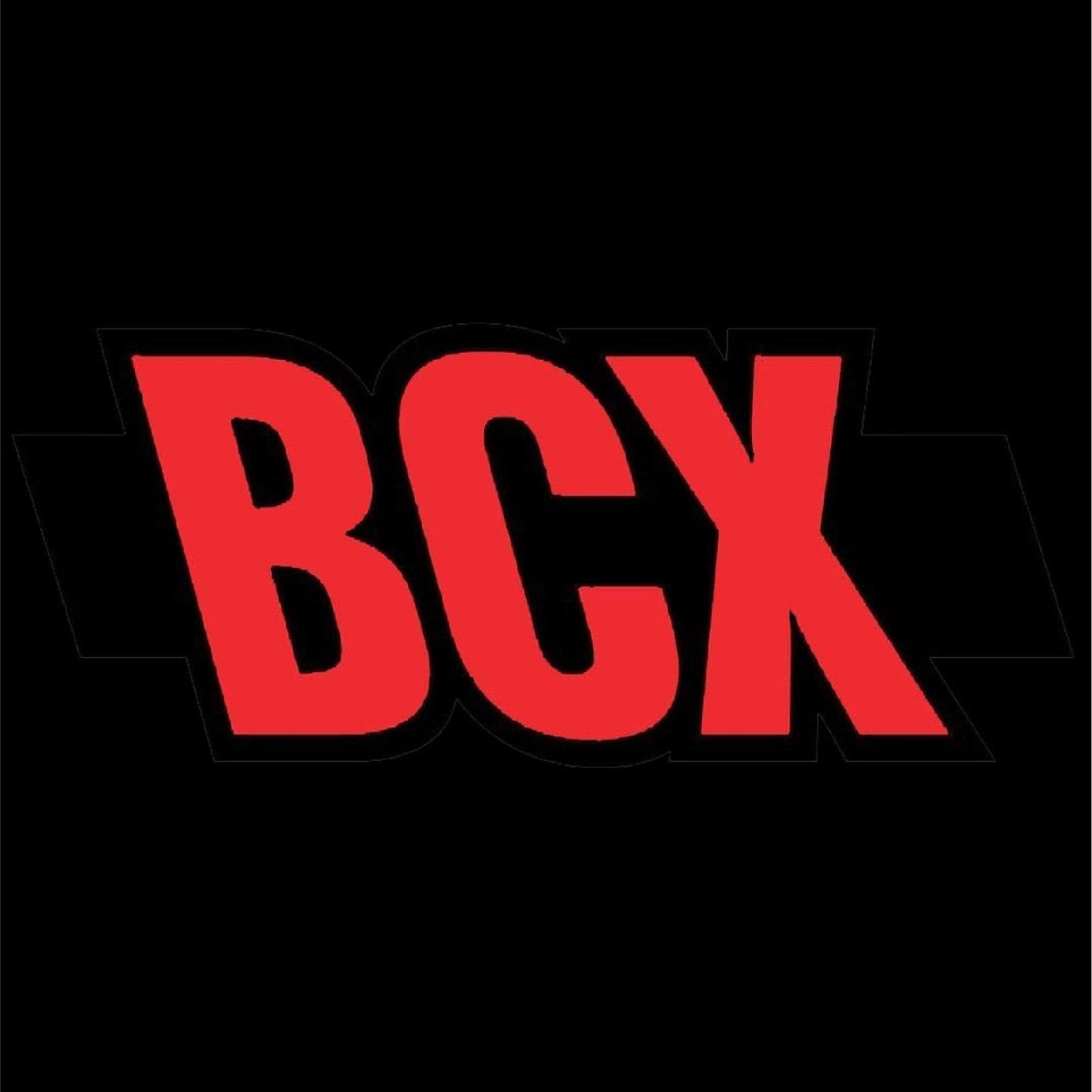 bcx web development